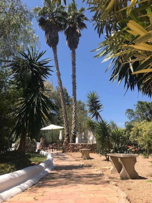 Santa Gertrudis  Casa Rosada - Gorgeous Family Finca Near Santa Gertrudis 빌라 외부 사진